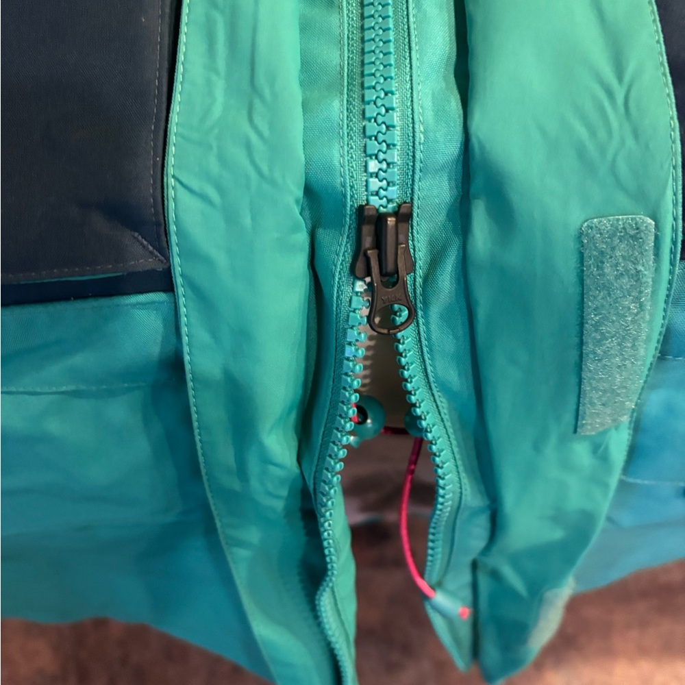 The north face fantasy ridge GTX Parka - Picture 10 of 11